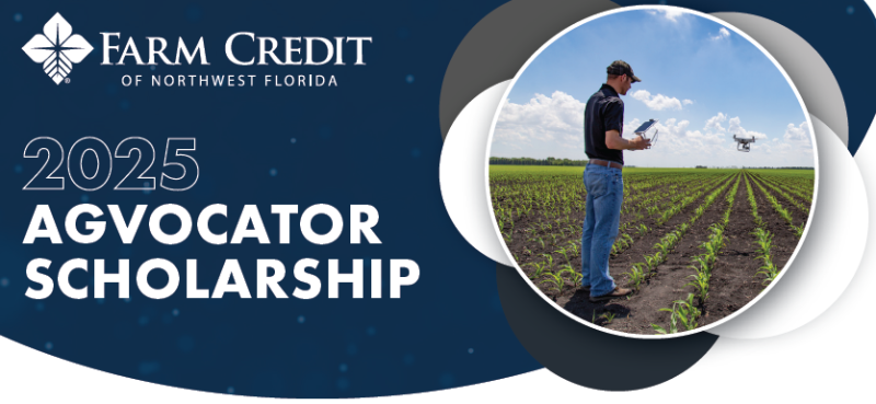 Farm Credit of Northwest Florida 2025 AgVocator Scholarship – Application Deadline January 31