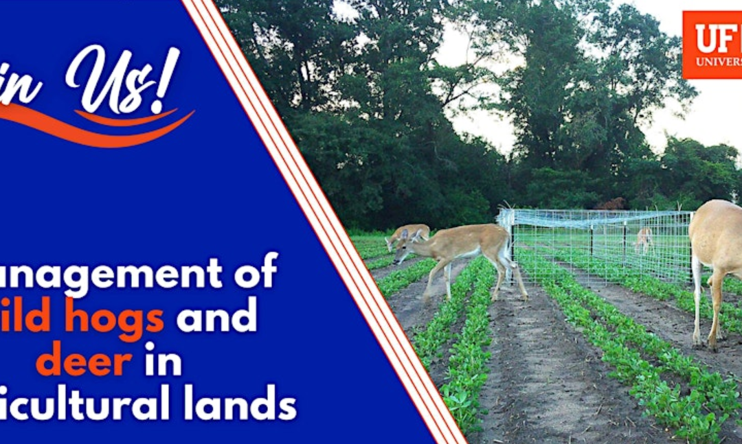 Management of Wild Hogs & Deer on Ag Lands – Crop Predation Meeting – February 25