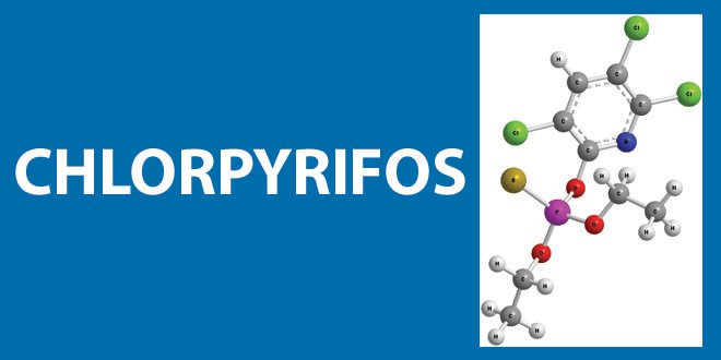 Chlorpyrifos Insecticide Status