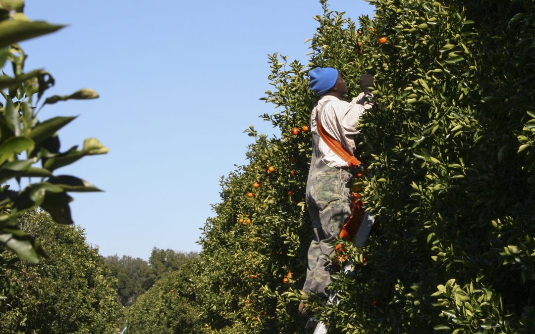 Produce Safety Alliance Grower Training – March 5