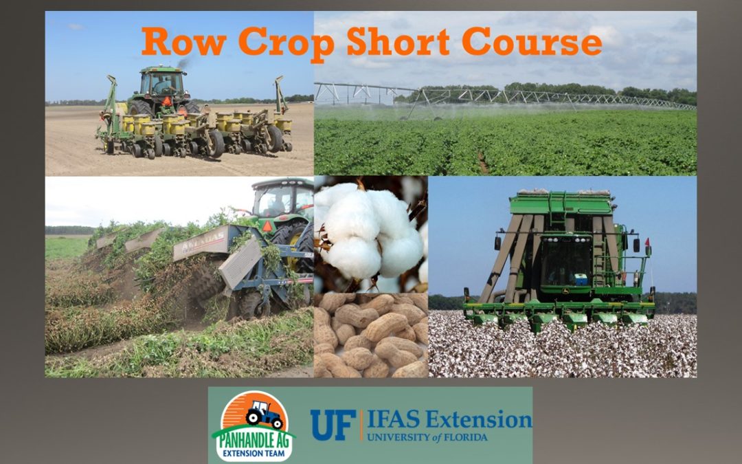 2025 Panhandle Row Crop Short Course Highlights & Presentation Links