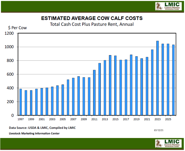 March 2025 Florida Cattle Market Update