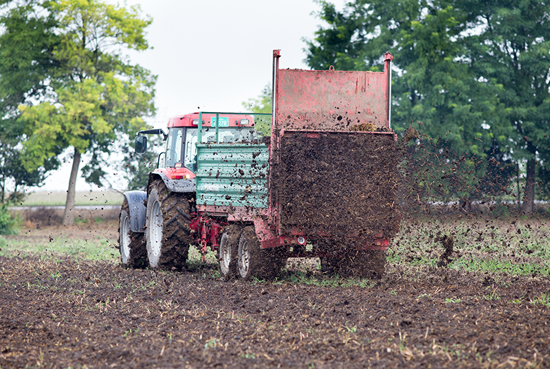 Benefits of Manure Fertilizers and Analysis