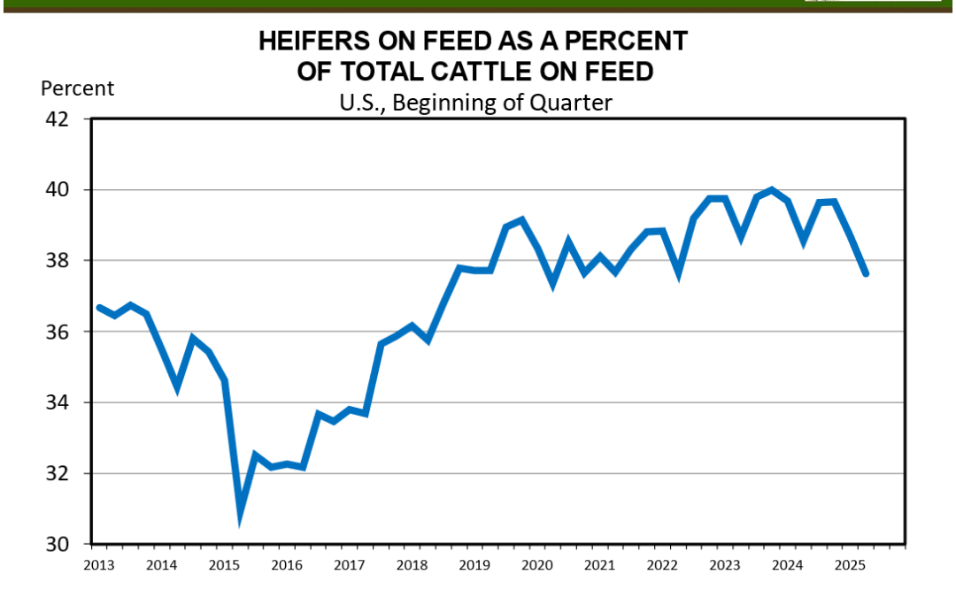 April 2025 Florida Cattle Market Update