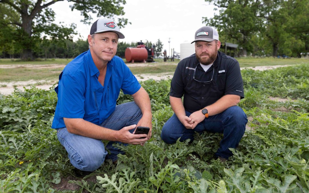 Automating Irrigation of Suwannee Valley Crops Saved 164 Million Gallons of Water in 2024