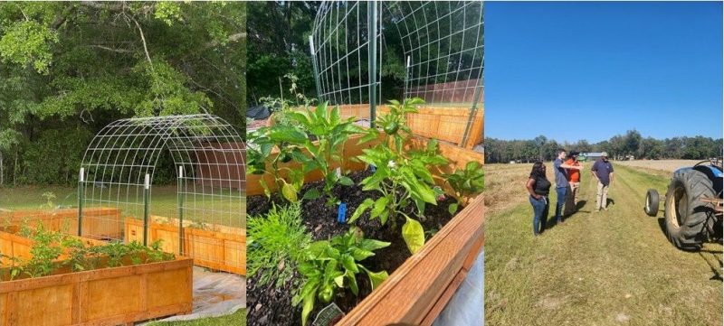 Farming Your Hobby into a Business