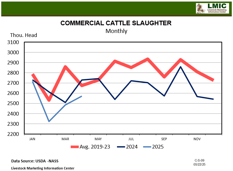 May 2025 Florida Cattle Market Update – Livestock Slaughter & Beef Production