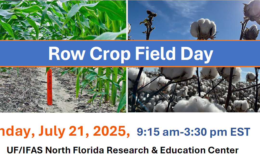 NFREC-Quincy Row Crop Field Day – July 21