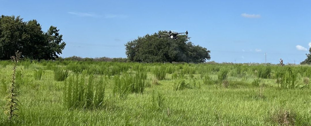 The Use of Drones in Pasture Weed Management