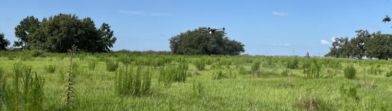 Sprayer Drone spraying weeds in pasture