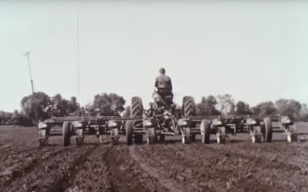 Friday Feature: 1960 Corn Farmer