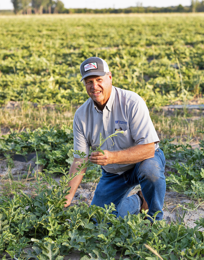 Bob Hochmuth in Watermelon Field