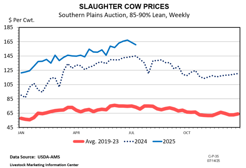 Factors Driving Strong Cull Cow Markets