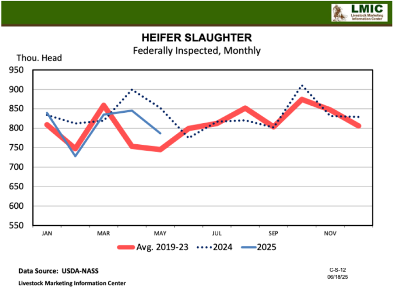 June 2025 Florida Cattle Market Update