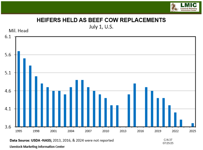 July 2025 Florida Cattle Market Update