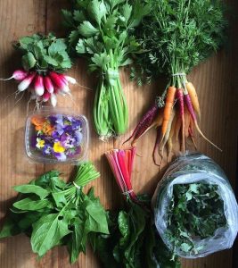 An assortment of fresh produce including rainbow carrots, radishes, leafy greens, and edible flowers arranged on a wooden surface.