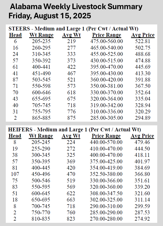 Alabama Weekly Livestock Summary Friday, August 15, 2025