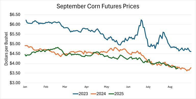 September Corn Futures Prices