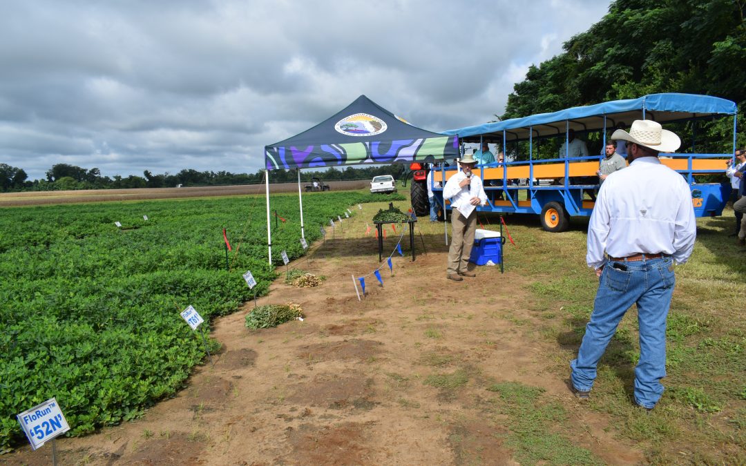2025 Peanut Field Day Recap & Speaker Handouts