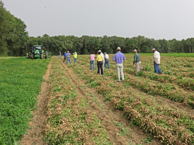Gilbert Farms Black Growers Council Tour
