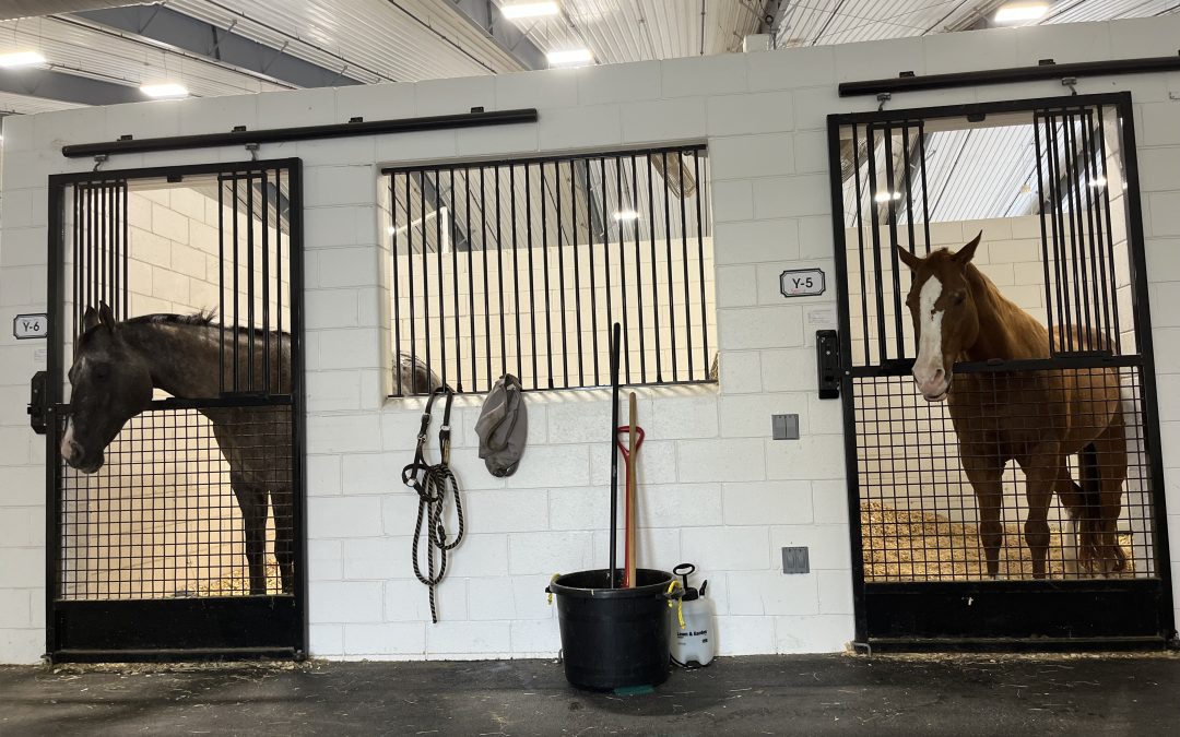 Horse Owner Hurricane Preparedness Survey