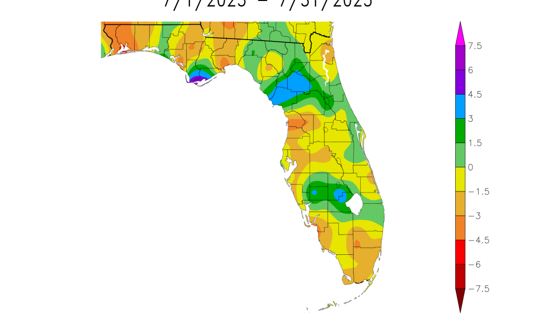July 2025 Weather Summary & 3-Month Outlook