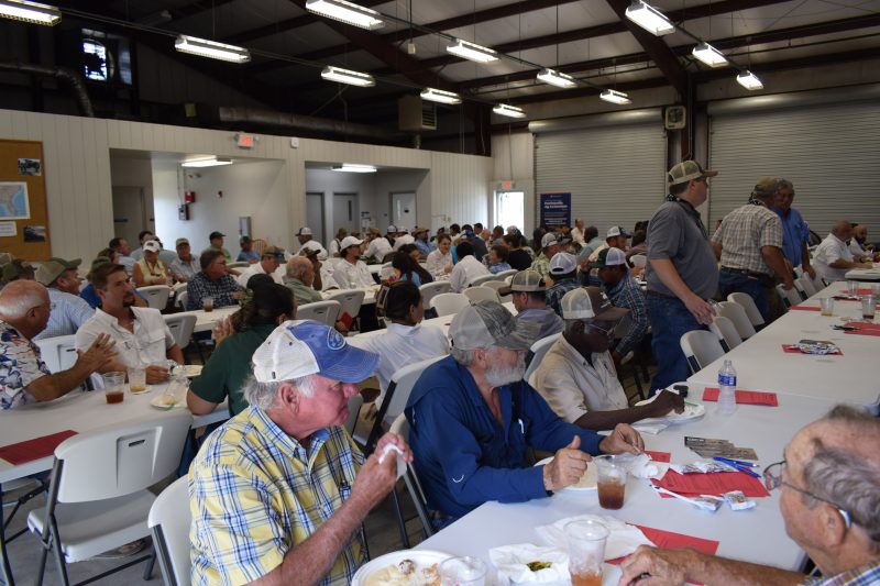 Peanut Field Day lunch