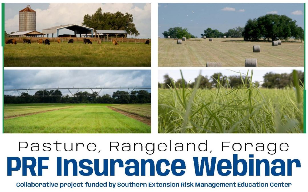 Learn More about Pasture, Rangeland and Forage Insurance at Upcoming Webinar – September 18
