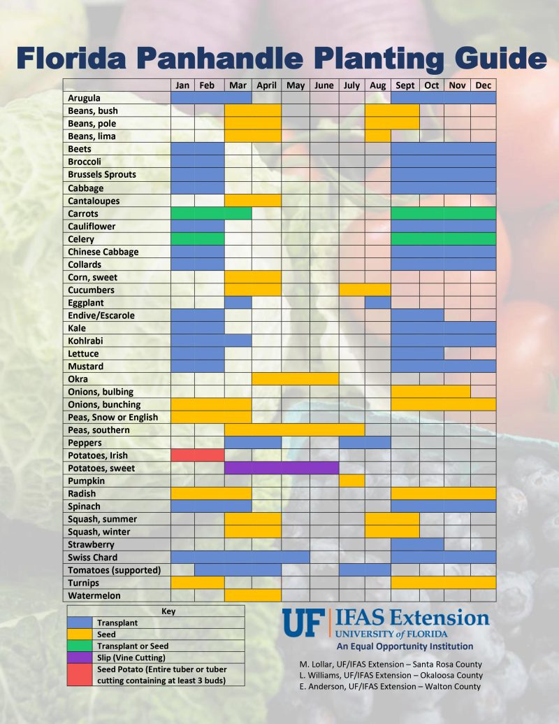 Florida Panhandle Planting Guide for vegetables