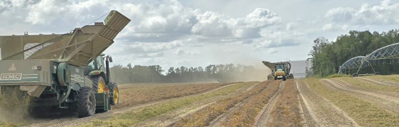 2025 Peanut Harvest in Hamilton Co., FL
