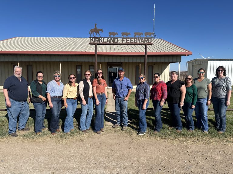 Florida Calves in the Feedlot: What Extension Agents Learned in West Texas