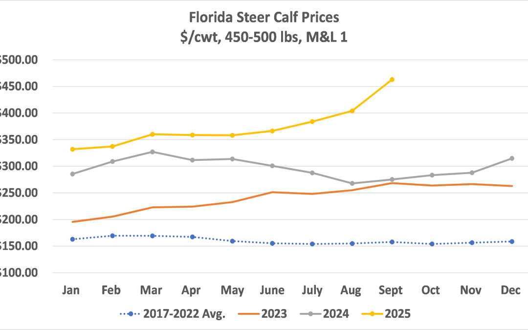 September 2025 Florida Cattle Market Update