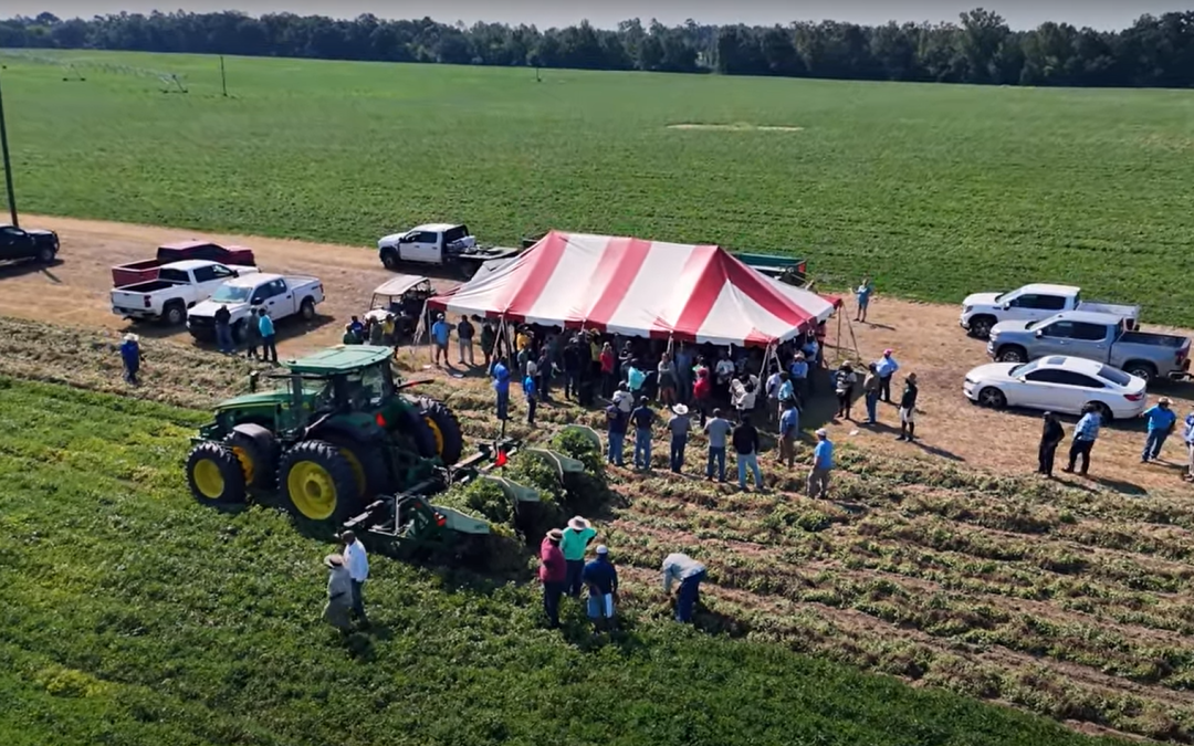 Friday Feature:  Gilbert Farms NBGC Field Day Highlights