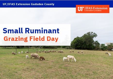2025 Small Ruminant Grazing Field Day – November 5