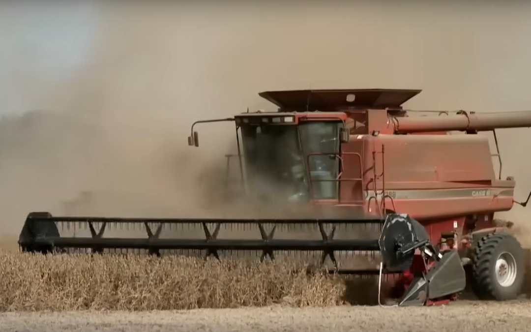 Friday Feature:  Trade War with China Hits Soybean Farmers Hard