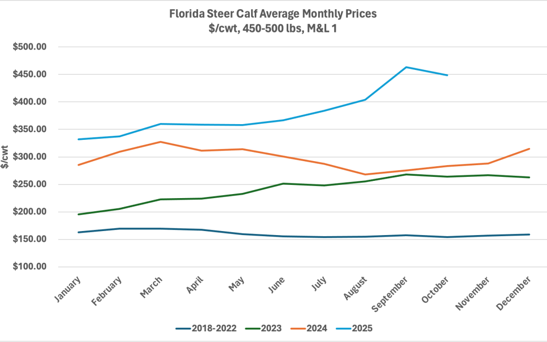 October 2025 Florida Cattle Market Update