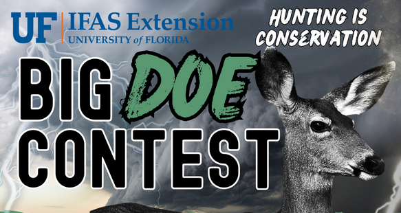 Big Doe Contest Returns for 2025: A Growing Thanksgiving Tradition