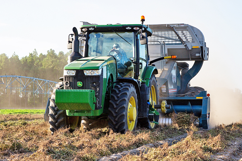 Combine harvesting a crop of peanuts.