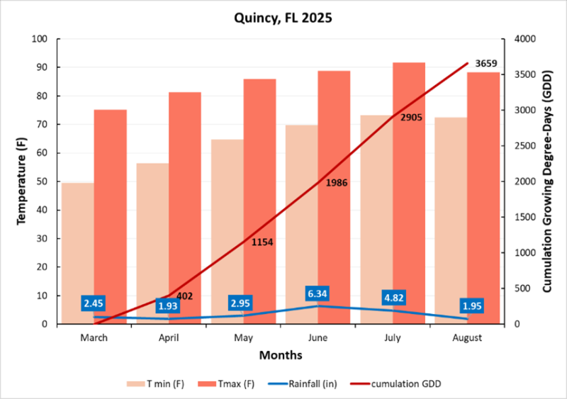 Figure 2: Temperature, rainfall and cumulative GDD for Quincy location.