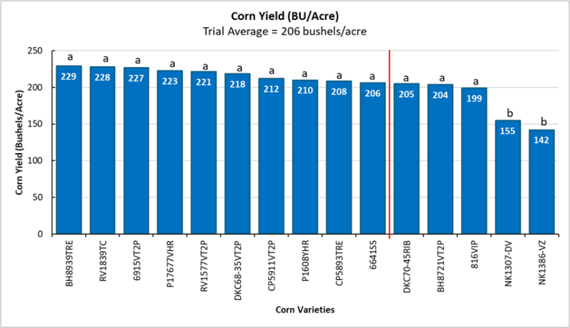 Figure 5: Corn variety yields in Live Oak.