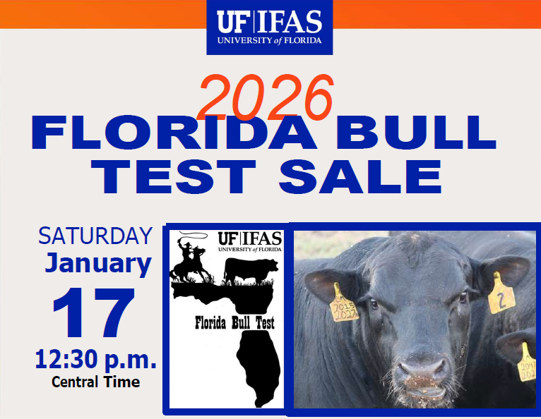 2026 Florida Bull Test Sale – January 17