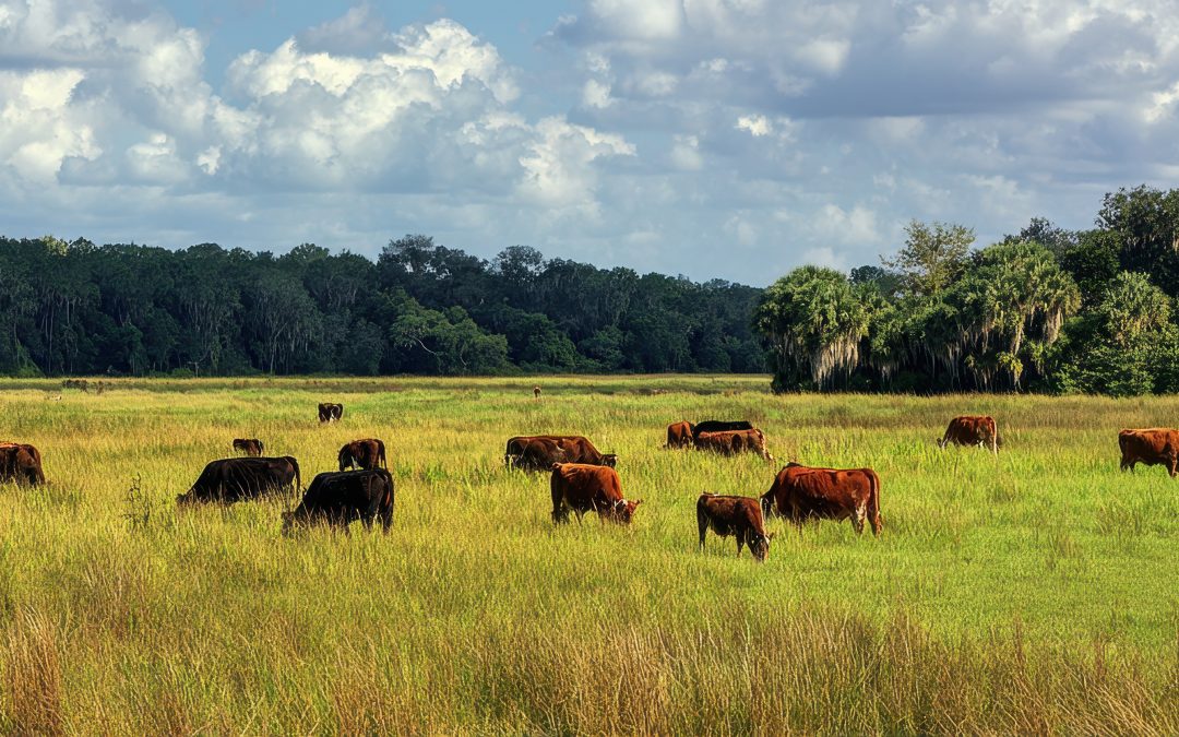 2026 Rural and Family Lands Protection Program – Application Deadline January 23