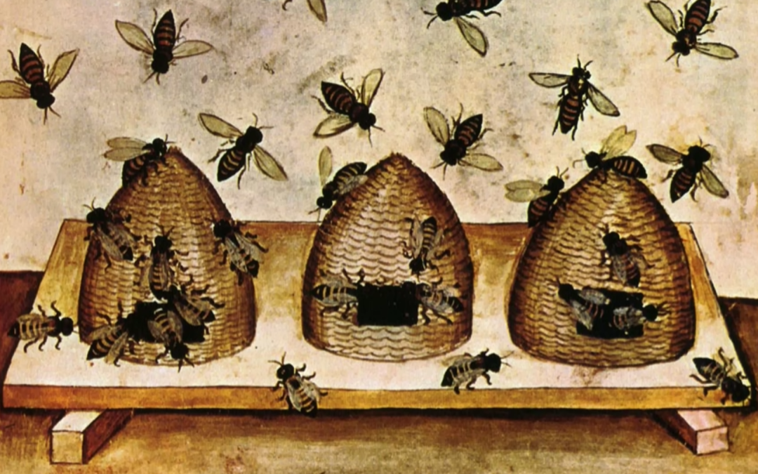 Friday Feature: The History of Beekeeping