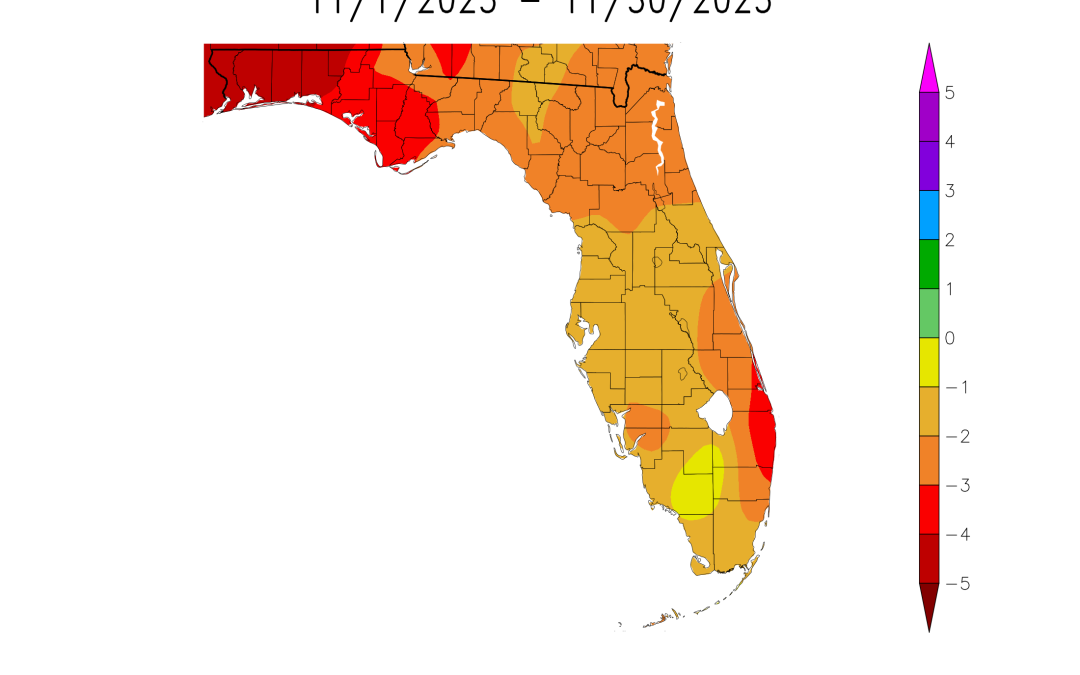 November 2025 Weather Summary & Winter Outlook