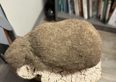 Brown object cut in half but placed together