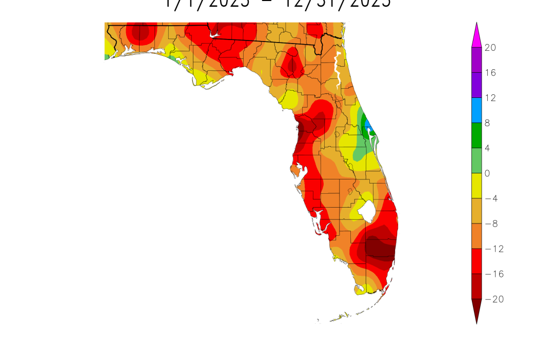 2025 Weather Summary and 2026 1st Quarter Outlook
