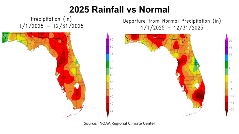 2025 FL rainfall vs normal