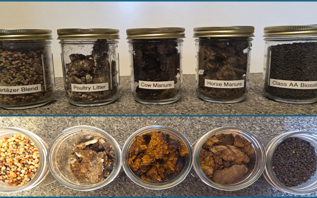 Fertilizer Source Matters! Comparison of Alternatives for Nutrient Content