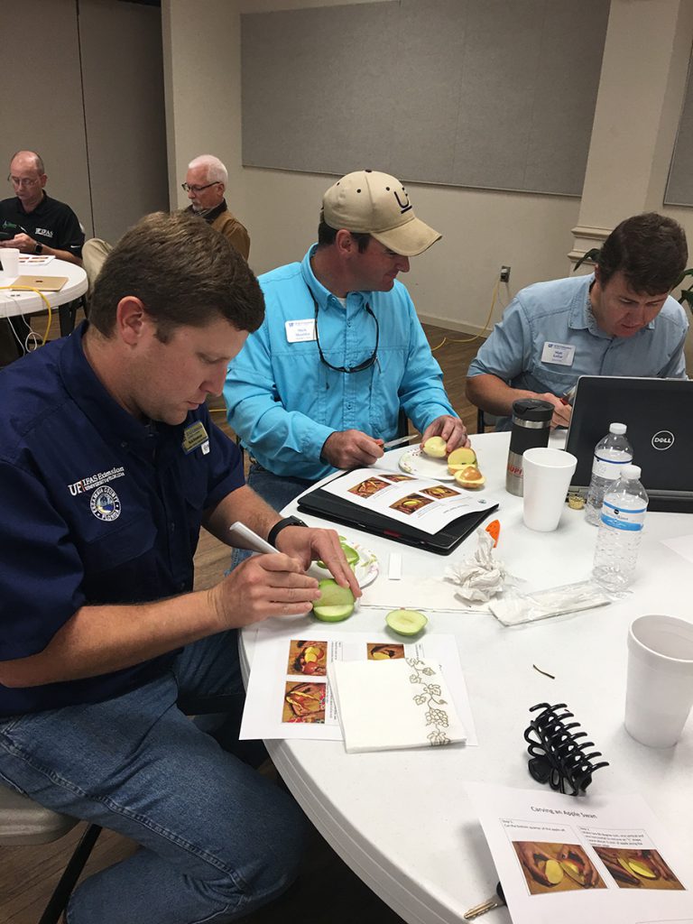 IMG_4734 nwdistrict.ifas.ufl.edu